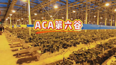 #ACA第六谷 模式，打造#ACA作物工厂，规划建园到栽培种植水肥管理一站式服务！#可控农业 #华维集团