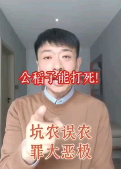 公稻子可以打死？纯属误农！