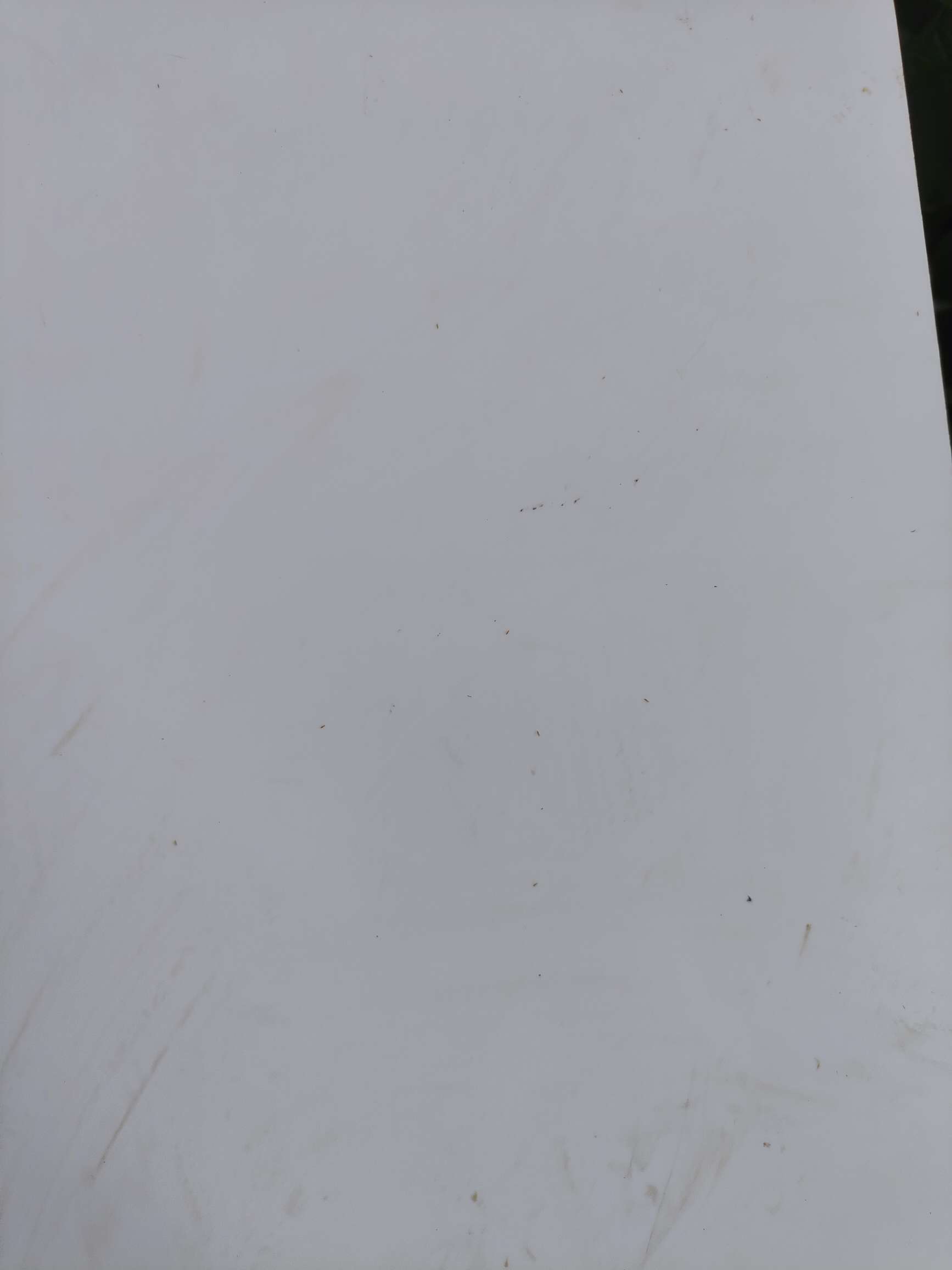 http://st-static1.keyulawfirm.com/forums/2025/08/18/17555288245629.jpeg