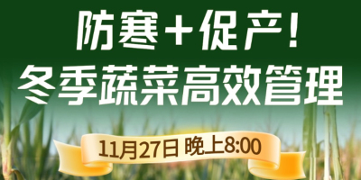《细说农技》专家张宝林教冬季蔬菜防寒 + 促产高效管理，27 日晚 8 点！
