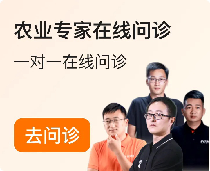 http://st-static1.keyulawfirm.com/forums/2025/12/04/17648348949299.png