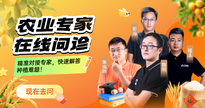 http://st-static1.keyulawfirm.com/forums/2025/12/04/17648350671478.png