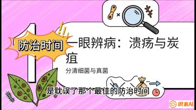 第三节：细菌与真菌&mdash;&mdash;溃疡病与炭疽病，课程：《柑橘十大病虫害：从入门到精通》