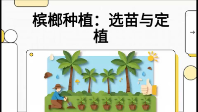 第01节：选苗与定植&mdash;&mdash;&ldquo;苗好一半收，底肥定千秋&rdquo;课程：《槟榔种植：从不懂到精通的10堂必修课》