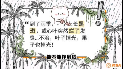 第05节：常见真菌病害&mdash;&mdash;&ldquo;炭疽与烂心，早防值千金&rdquo;《槟榔种植：从不懂到精通的10堂必修课》