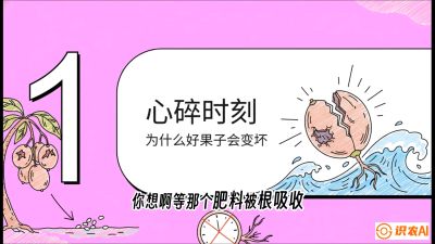 第08节：微量元素与保果&mdash;&mdash;&ldquo;补硼又补钙，果子不裂坏&rdquo;《槟榔种植：从不懂到精通的10堂必修课》