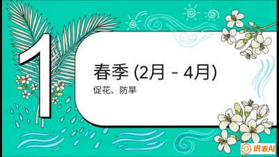第10节：周年农事日历&mdash;&mdash;&ldquo;跟着节气走，丰产在手头&rdquo;《槟榔种植：从不懂到精通的10堂必修课》