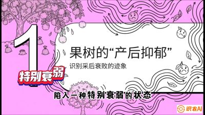 第2节：【冬肥策略】采后&ldquo;月子肥&rdquo;：大小年的精准干预术，课程：《柑橘底肥&ldquo;翻身账&rdquo;：从改土到高产的实战全书》