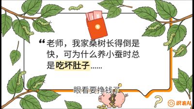 第01节：不仅仅是树&mdash;&mdash;顶级品种选配策略，课程：《桑海淘金：桑树高产与蚕桑安全进阶实战课》