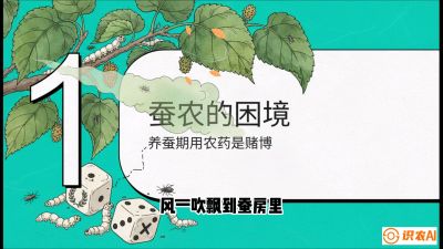 第06节：虫口夺叶（上）&mdash;&mdash;物理与生物防控绝技，课程《桑海淘金：桑树高产与蚕桑安全进阶实战课》