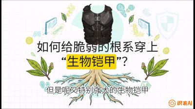 第三节：国产榴莲突围战：根系堡垒，菌根微生态构建与黄金定植窗口，课程：《国产榴莲突围战：从泰国经验到中国实操的8堂必修课（高阶实战版）》