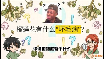 第六节：榴莲的午夜战事，夜间授粉战与花果期避雨策略，课程：《国产榴莲突围战：从泰国经验到中国实操的8堂必修课（高阶实战版）》