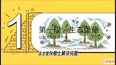 第七节：榴莲防御战：病虫害三级立体防控，疫霉菌与虫害的立体封锁线，课程：《国产榴莲突围战：从泰国经验到中国实操的8堂必修课（高阶实战版）》