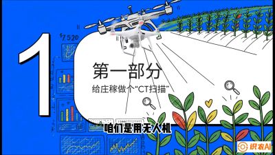第5节：无人机也能&ldquo;看病抓药&rdquo;&mdash;&mdash;处方图与变量施肥入门，课程：《无人机植保搞钱必修课：从&ldquo;瞎飞&rdquo;到&ldquo;懂行&rdquo;的6步进阶》