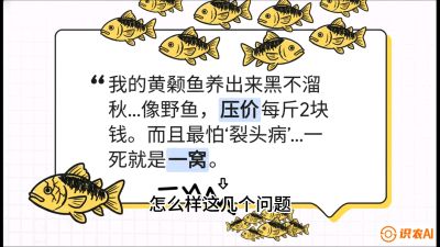 第四节：【黄金单品&middot;黄颡鱼】解决&ldquo;一点红&rdquo;与&ldquo;香蕉色&rdquo;的悖论，课程：《黄金鳞甲：2025中国淡水鱼高效养殖实战营》