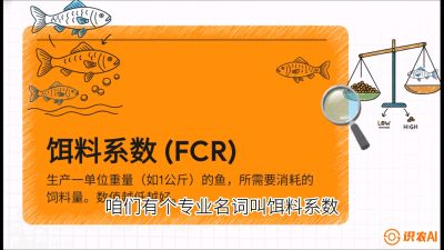 第五节：【高端单品&middot;鳜鱼】&ldquo;饲料鳜&rdquo;技术：打破吃活饵的高成本魔咒，课程：《黄金鳞甲：2025中国淡水鱼高效养殖实战营》