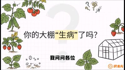 第2节（解毒篇）： 大棚里的&ldquo;红白绿&rdquo;警报&mdash;&mdash;读懂土壤盐渍化的求救信号，课程：《揭秘土壤的秘密：让土地帮你赚钱》#识农AI