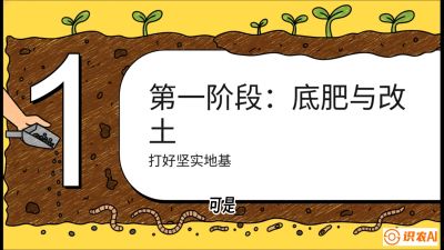 第6节（统筹篇）： 省钱又增产的&ldquo;黄金配比&rdquo;&mdash;&mdash;不同作物全年的养土实操方案，课程：《揭秘土壤的秘密：让土地帮你赚钱》#识农AI