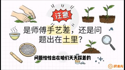 第02节（土肥篇）：告别&ldquo;苦涩水味&rdquo;：揭秘&ldquo;碳氮比&rdquo;调控术，种出自带兰花香的好茶底，课程：《茶金时代：从&ldquo;看天吃饭&rdquo;到&ldquo;精准控局&rdquo;的茶叶高产提质实战课》