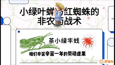 第03节（虫害篇）：看不见的吸血鬼：小绿叶蝉与红蜘蛛的&ldquo;非农药&rdquo;团灭战术（抗性治理），课程：《茶金时代：从&ldquo;看天吃饭&rdquo;到&ldquo;精准控局&rdquo;的茶叶高产提质实战课》