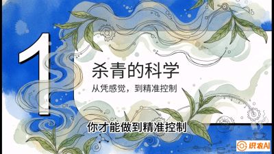 第05节（加工篇）：决胜2分钟：用&ldquo;数字温控&rdquo;破解杀青不匀，复刻大师级手工口感，课程：《茶金时代：从&ldquo;看天吃饭&rdquo;到&ldquo;精准控局&rdquo;的茶叶高产提质实战课》