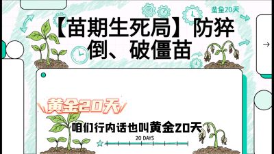 第2节：【苗期生死局】防猝倒、破僵苗，决定后期产量的&ldquo;黄金20天&rdquo;，课程：《辣椒种植实战特训营，从工业辣椒到精品小米辣，教你如何把&ldquo;草&rdquo;种成&ldquo;金&rdquo;》