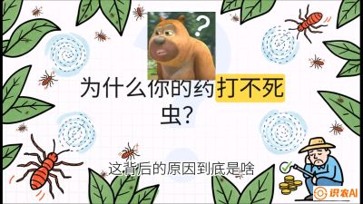 第4节：【虫害歼灭战】打不死的蓟马、隐形的茶黄螨：抗性时代的&ldquo;混配绝杀&rdquo;，课程：《辣椒种植实战特训营，从工业辣椒到精品小米辣，教你如何把&ldquo;草&rdquo;种成&ldquo;金&rdquo;》