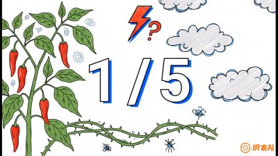 第6节：【花果爆发术】落花落果的五大元凶，与&ldquo;三喷一保&rdquo;坐果黑科技，课程：《辣椒种植实战特训营，从工业辣椒到精品小米辣，教你如何把&ldquo;草&rdquo;种成&ldquo;金&rdquo;》