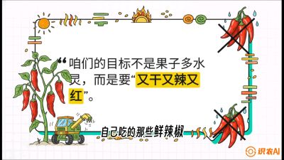 第7节：【工业辣椒专场】追求极致辣度！干物质提升与机械化采收的&ldquo;催红秘籍&rdquo;，课程：《辣椒种植实战特训营，从工业辣椒到精品小米辣，教你如何把&ldquo;草&rdquo;种成&ldquo;金&rdquo;》