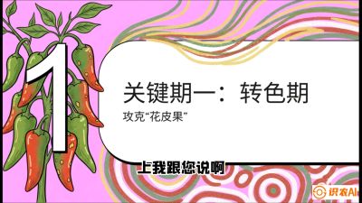 第8节：【小米辣线椒专场】颜值即正义！防花皮、防炭疽，打造收购商抢着要的&ldquo;精品果&rdquo;，课程：《辣椒种植实战特训营，从工业辣椒到精品小米辣，教你如何把&ldquo;草&rdquo;种成&ldquo;金&rdquo;》