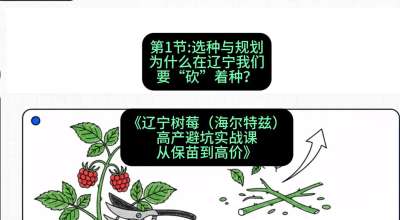 第一节： 选种与规划&mdash;&mdash;为什么在辽宁我们要&ldquo;砍&rdquo;着种？，课程：《辽宁树莓（海尔特兹）高产避坑实战课：从保苗到高价》