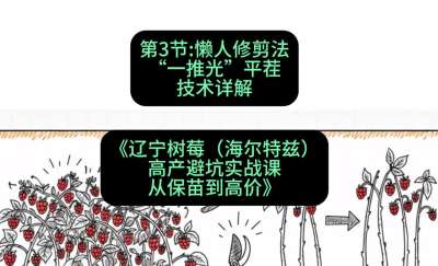 第三节： 懒人修剪法&mdash;&mdash;&ldquo;一推光&rdquo;平茬技术详解，课程：《辽宁树莓（海尔特兹）高产避坑实战课：从保苗到高价》