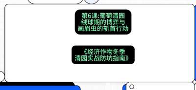 第6节：【葡萄清园】绒球期的博弈与画眉虫的&ldquo;斩首行动&rdquo;，课程：《经济作物冬季清园&middot;实战防坑指南》#识农AI