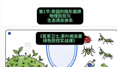 第01节：茶园的&ldquo;隐形盾牌&rdquo;&mdash;&mdash;物理防控与生态诱杀体系，课程：《茗茶卫士&mdash;&mdash;茶叶病虫害绿色防控实战课》#识农AI