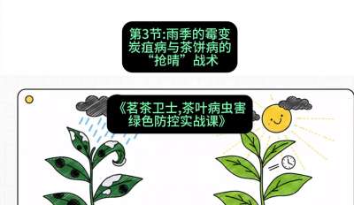 第03节：雨季的霉变&mdash;&mdash;炭疽病与茶饼病的&ldquo;抢晴&rdquo;战术，课程：《茗茶卫士&mdash;&mdash;茶叶病虫害绿色防控实战课》#识农AI