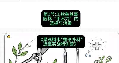 第01节：工欲善其事&mdash;&mdash;园林&ldquo;手术刀&rdquo;的选择与消毒，课程：《景观树木&ldquo;整形外科&rdquo;造型实战特训营》#识农AI