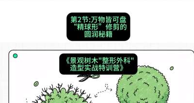 第02节：万物皆可盘&mdash;&mdash;&ldquo;精球形&rdquo;修剪的圆润秘籍，课程：《景观树木&ldquo;整形外科&rdquo;造型实战特训营》#识农AI