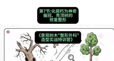 第07节：化腐朽为神奇&mdash;&mdash;偏冠、秃顶树的修复整形，课程：《景观树木&ldquo;整形外科&rdquo;造型实战特训营》#识农AI