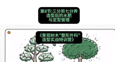 第08节：三分剪七分养&mdash;&mdash;造型后的水肥与定型管理，课程：《景观树木&ldquo;整形外科&rdquo;造型实战特训营》#识农AI