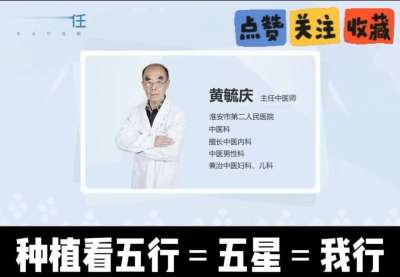 中药材淫羊藿怎么种？听专家一次讲明白！不挑地块好管理，耐寒耐旱省心省力，新手也能轻松上手，药用价值高、市场需求稳，妥妥的增收好品种～ 从生长习性到采收要点，干货满满无废话，种植疑问直接问，一对一答疑解