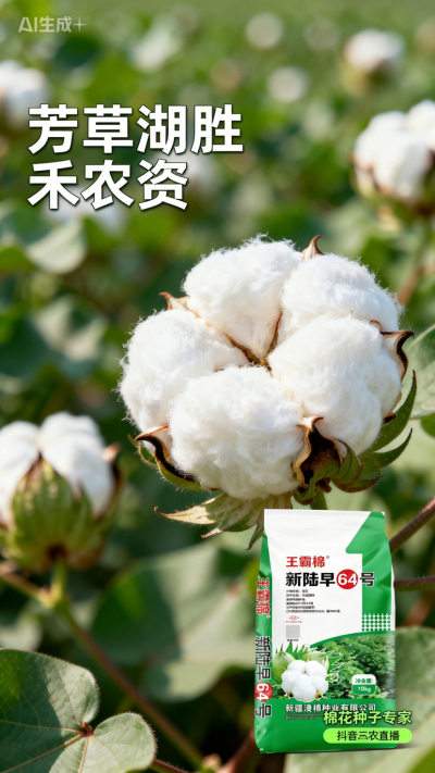 新疆棉花澳棉种业王霸棉，还有其它都好