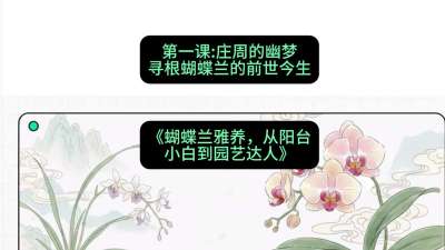 第一节：庄周的幽梦：寻根蝴蝶兰的前世今生，课程：《蝴蝶兰雅养六讲：从阳台小白到园艺达人》#识农AI