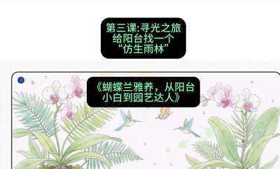 第三节：寻光之旅：给阳台找一个&ldquo;仿生雨林&rdquo;，课程：《蝴蝶兰雅养六讲：从阳台小白到园艺达人》#识农AI