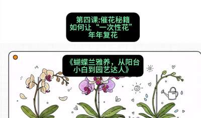 第四节：催花秘籍：如何让&ldquo;一次性花&rdquo;年年复花，课程：《蝴蝶兰雅养六讲：从阳台小白到园艺达人》#识农AI