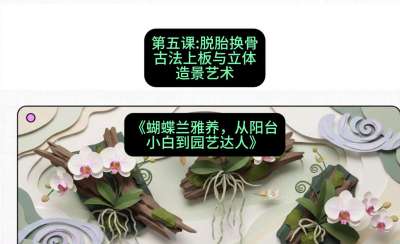 第五节：脱胎换骨：古法上板与立体造景艺术，课程：《蝴蝶兰雅养六讲：从阳台小白到园艺达人》#识农AI