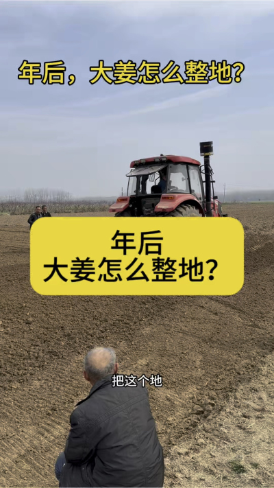 年后，大姜怎么整地？