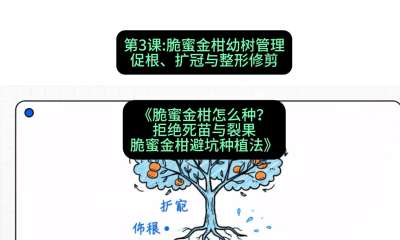 第3节：脆蜜金柑幼树管理：促根、扩冠与整形修剪，课程：《脆蜜金柑怎么种？拒绝死苗与裂果，脆蜜金柑8步避坑种植法》#识农AI