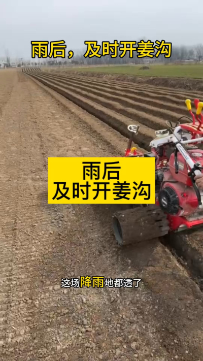 雨后，及时开姜沟！