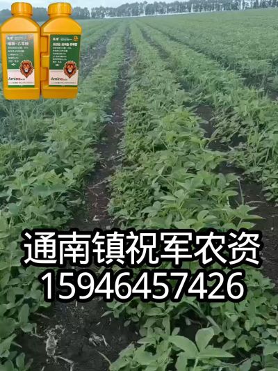 大豆苗前封闭，可封红根苋菜，灰菜，兰花菜，野豆子，捞豆秧等恶性杂草，封杀兼备的高端产品。