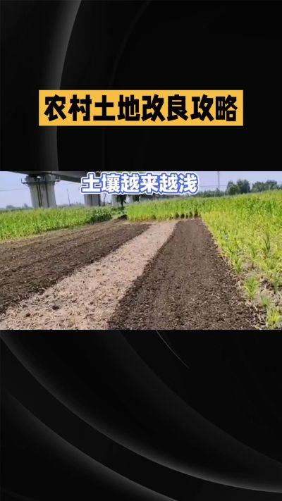 1. 先搞懂：你到底要改良哪块地、种什么
 
- 土土土在哪里？
就是你自家农田、菜地、果园，哪块地想种庄稼，就测哪块地的土。
​
- 有水没有水？
有水能浇：改良更省事，施肥、调酸碱都好操作。
没水